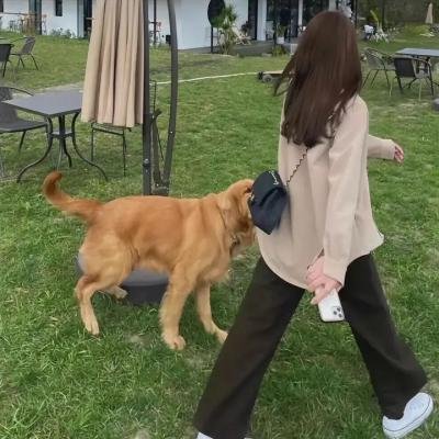 鲁蛇鸟经纪